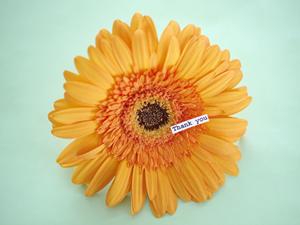 世界一を目指す即日発送印刷センター成徳