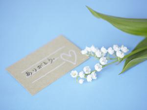 さまざまなお酒を揃えたプロのお店信濃屋